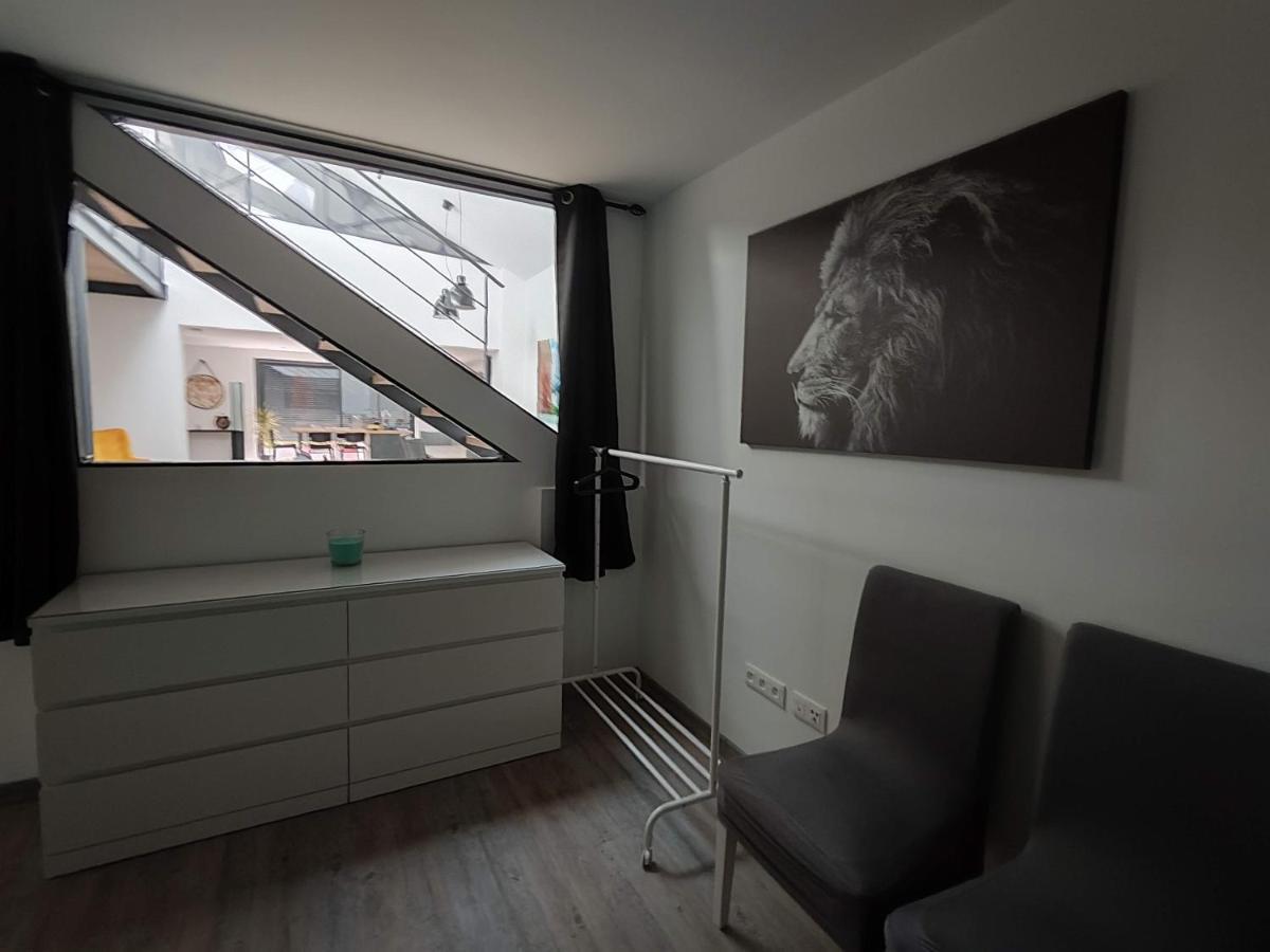 O Loft - 3 Chambres Avec 3 Salles De Bains - Parking - Climatisation Albi Exterior photo